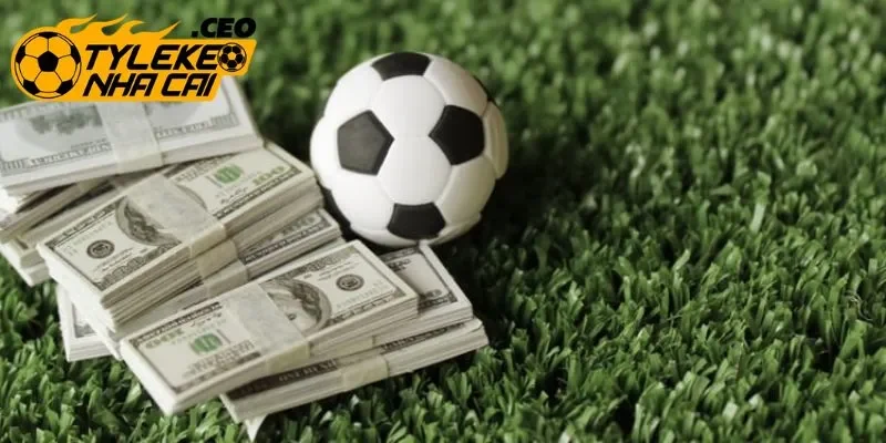 Tip bóng đá để phân tích Odds và tránh dính bẫy kèo dụ