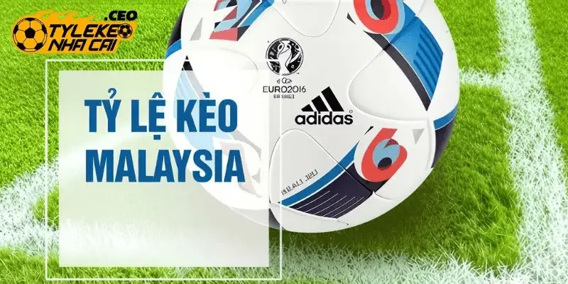 Tổng quan về tỷ lệ cược Malay